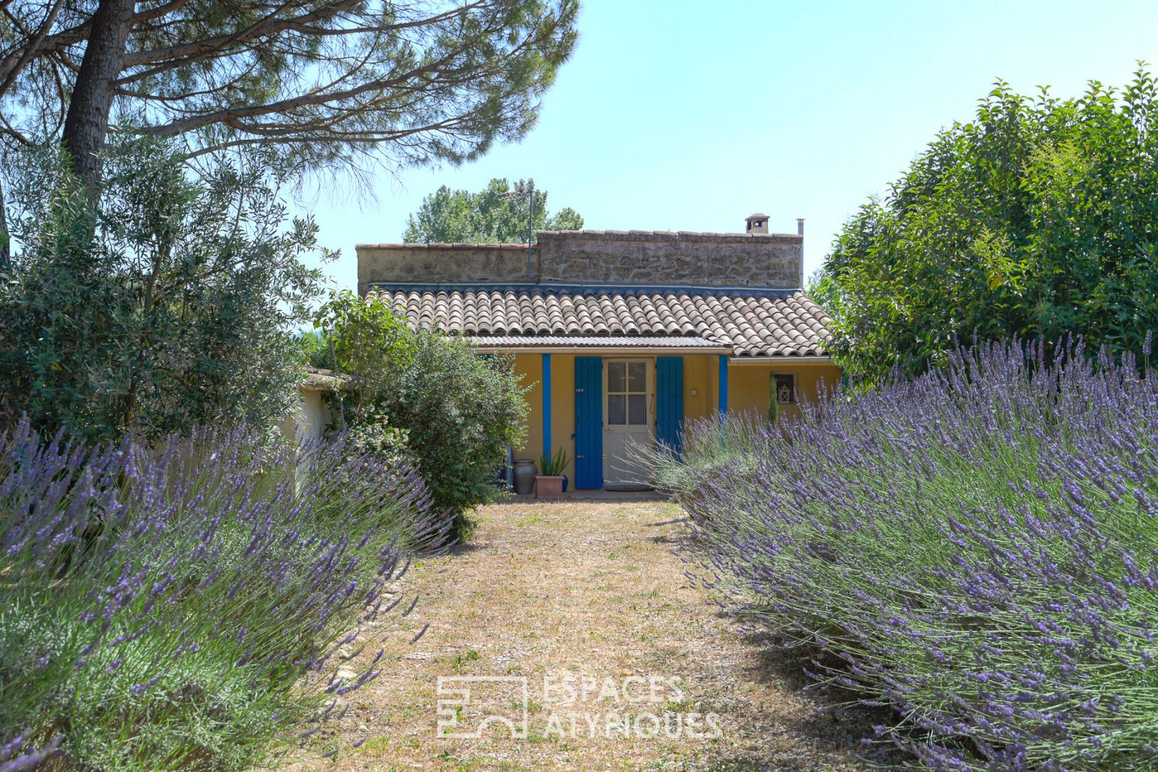 Bastidon close to the village