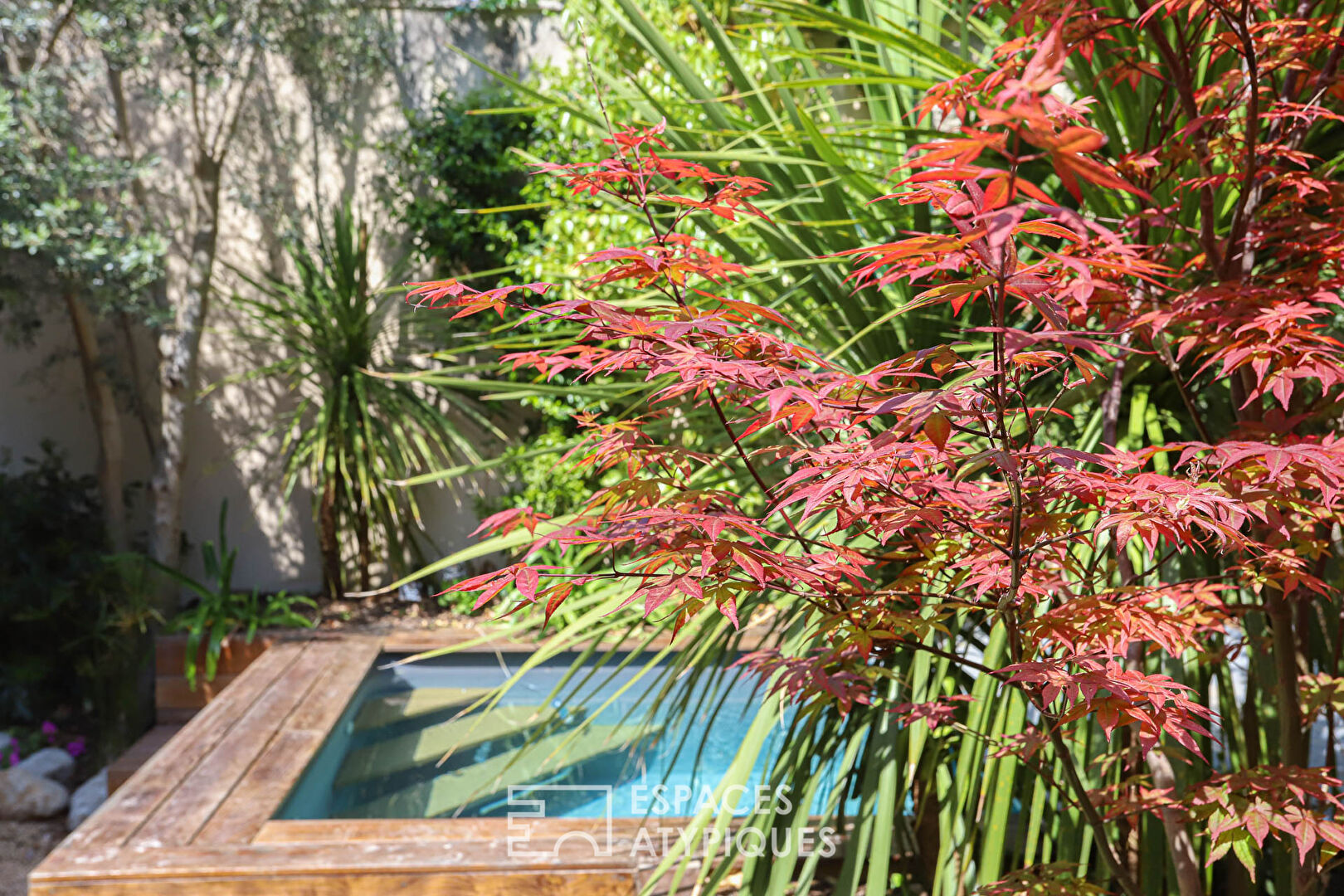 Discrète maison de village et son rare et gracieux jardin