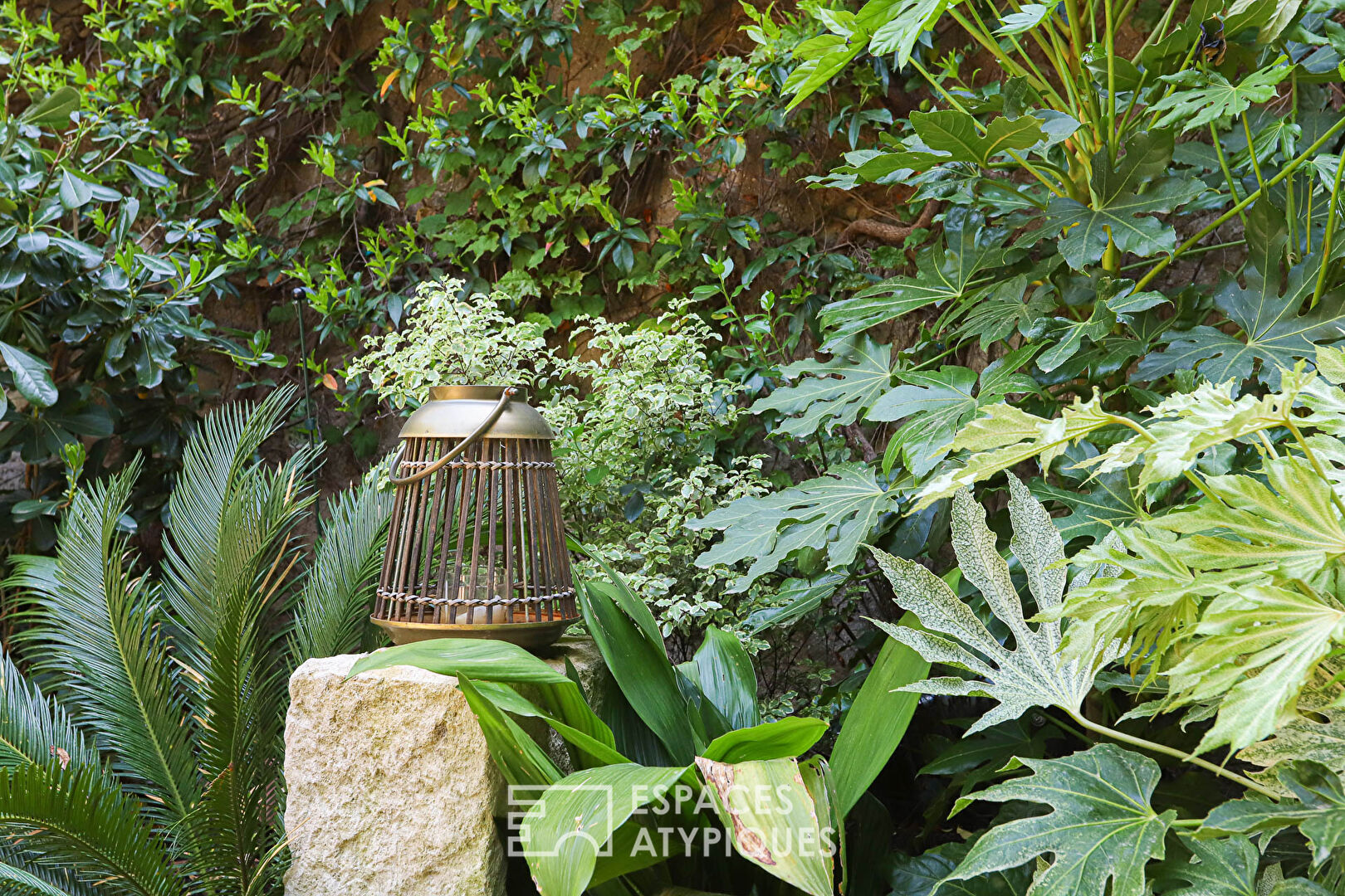 Discrète maison de village et son rare et gracieux jardin