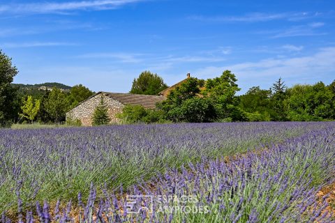 Rare, former ocher house and its 19th century building on the banks of the Colorado Provençal