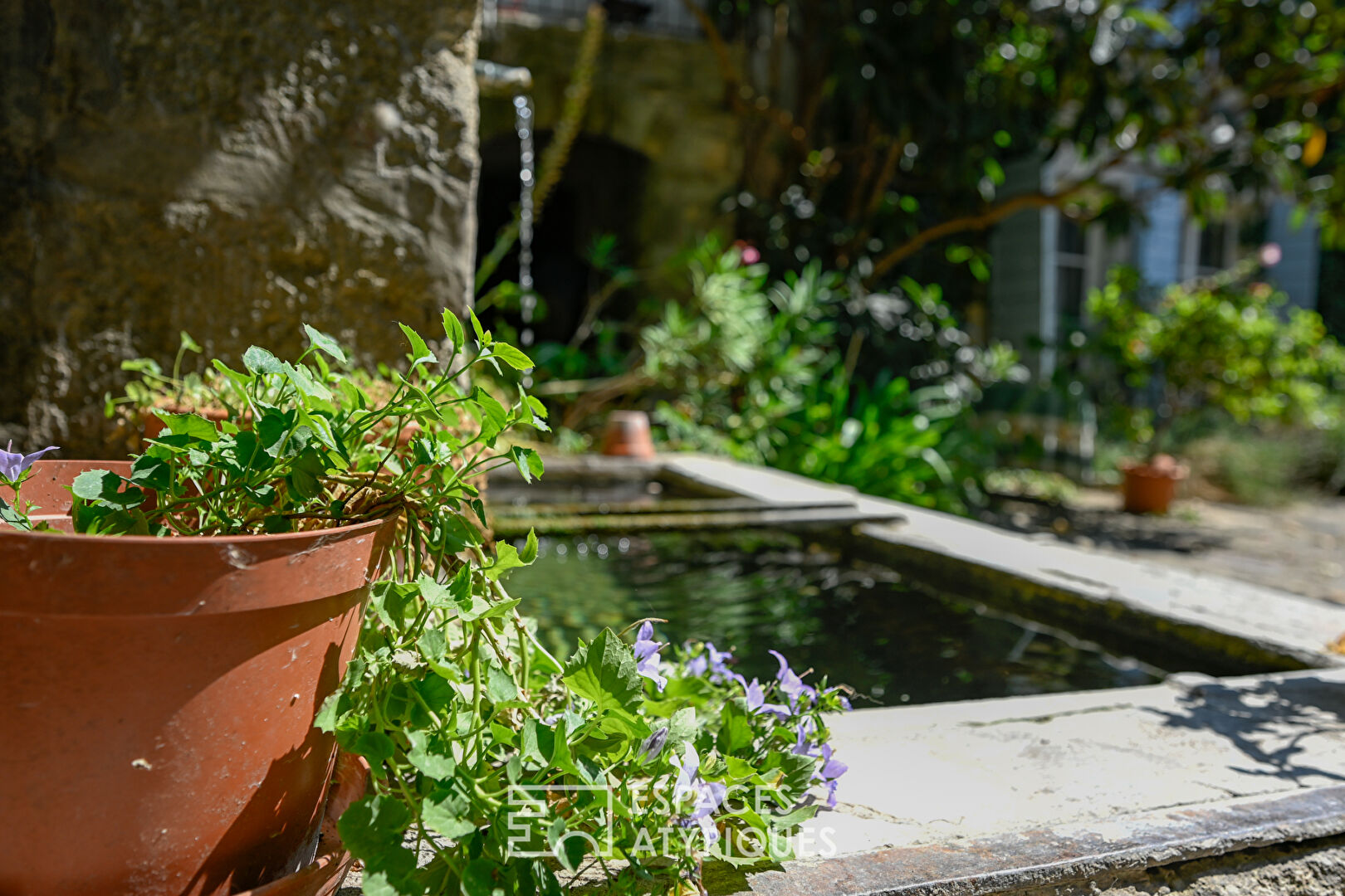 Belle provençale et son commerce au coeur de Saignon