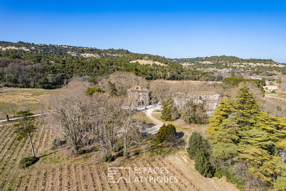 Ravissant domaine avec ses platanes centenaires