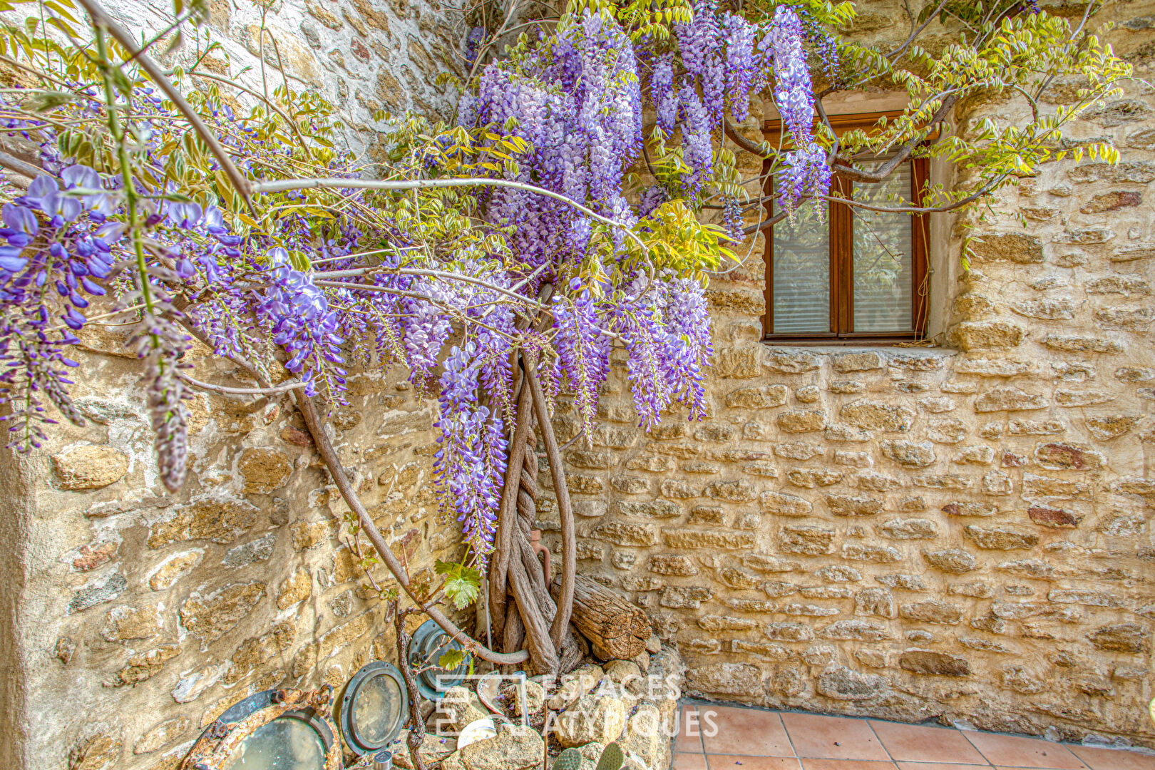 Two-unit village house with swimming pool and view