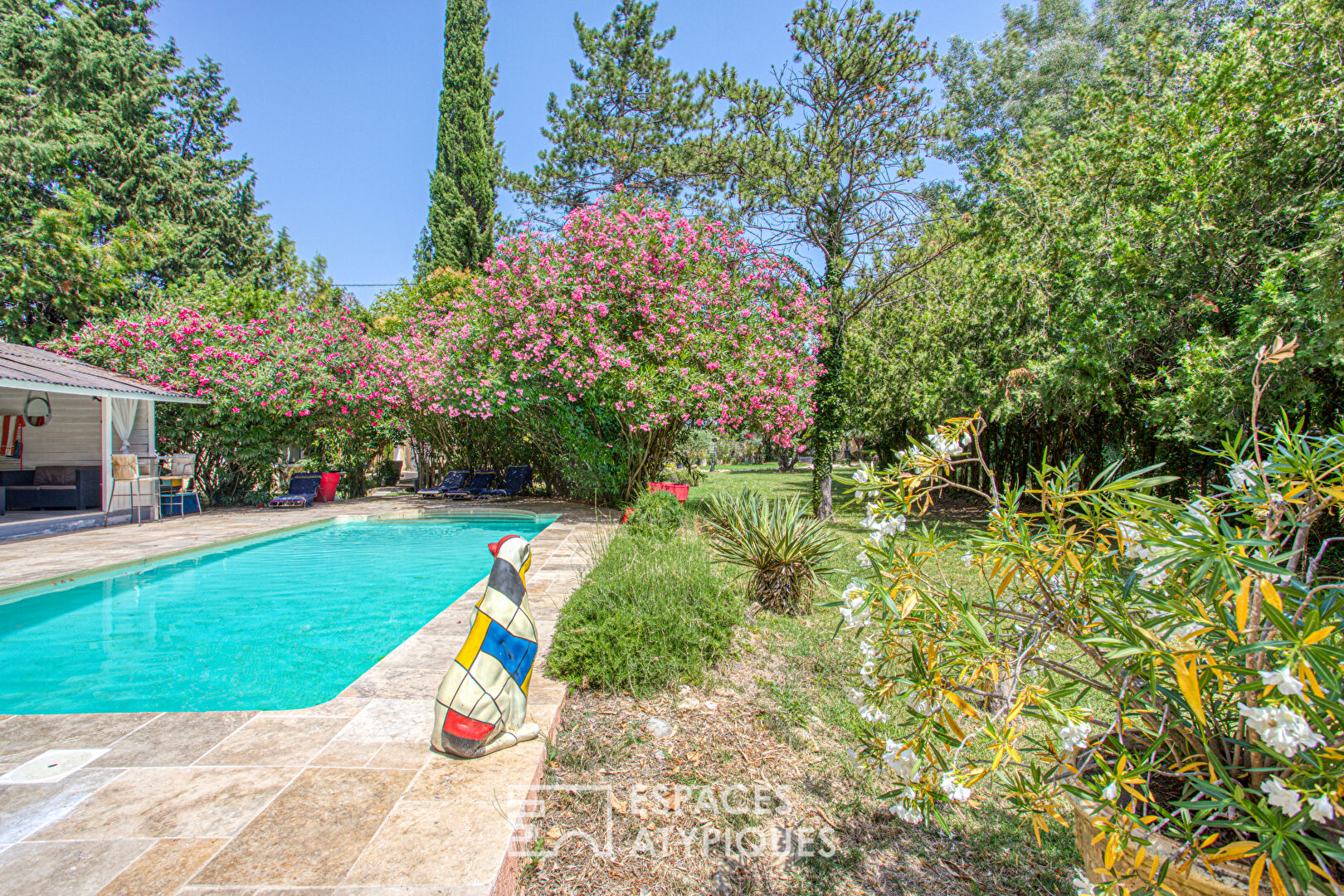 Mas Provençal XXL avec piscine et gîtes
