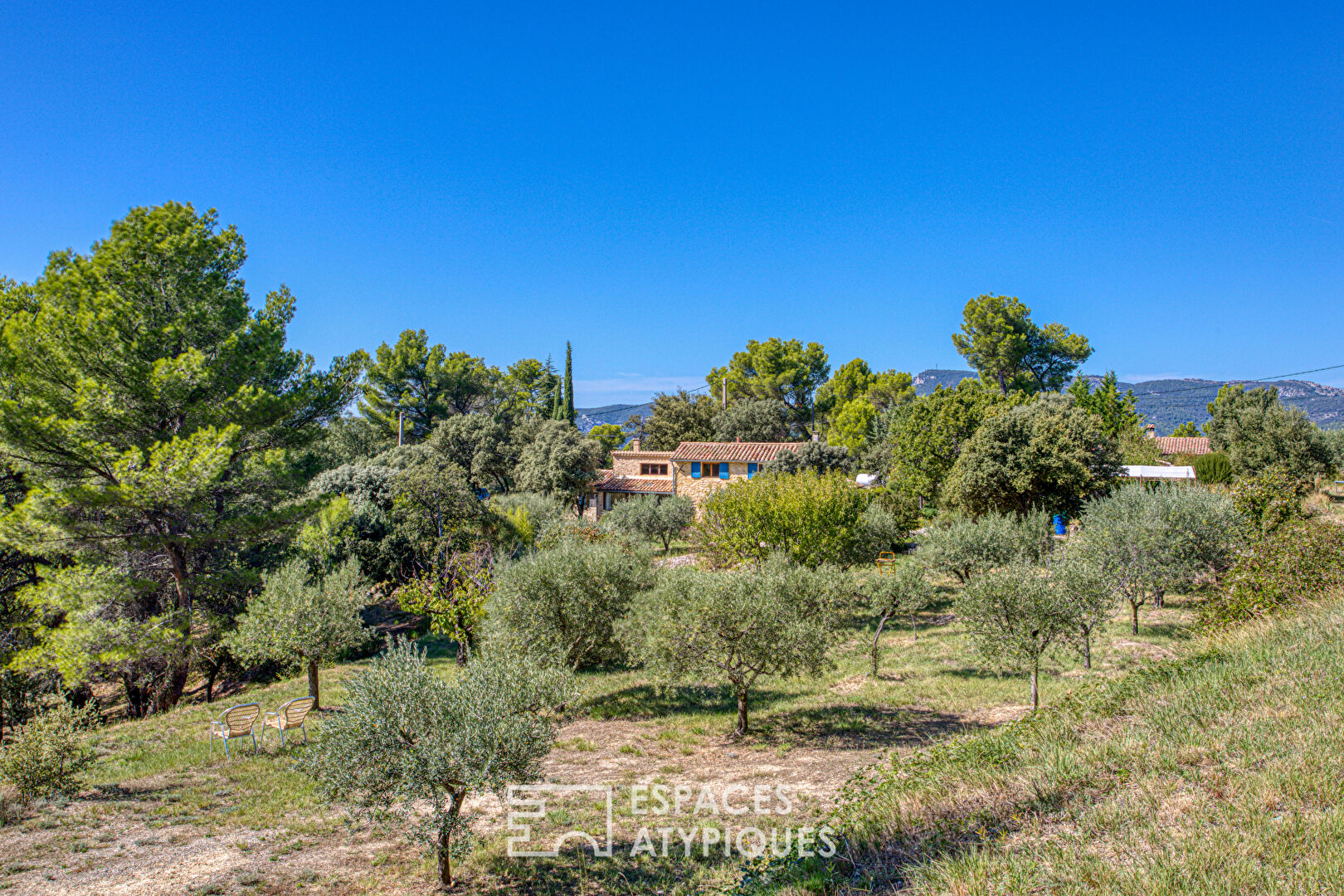 Two stone houses in an olive grove