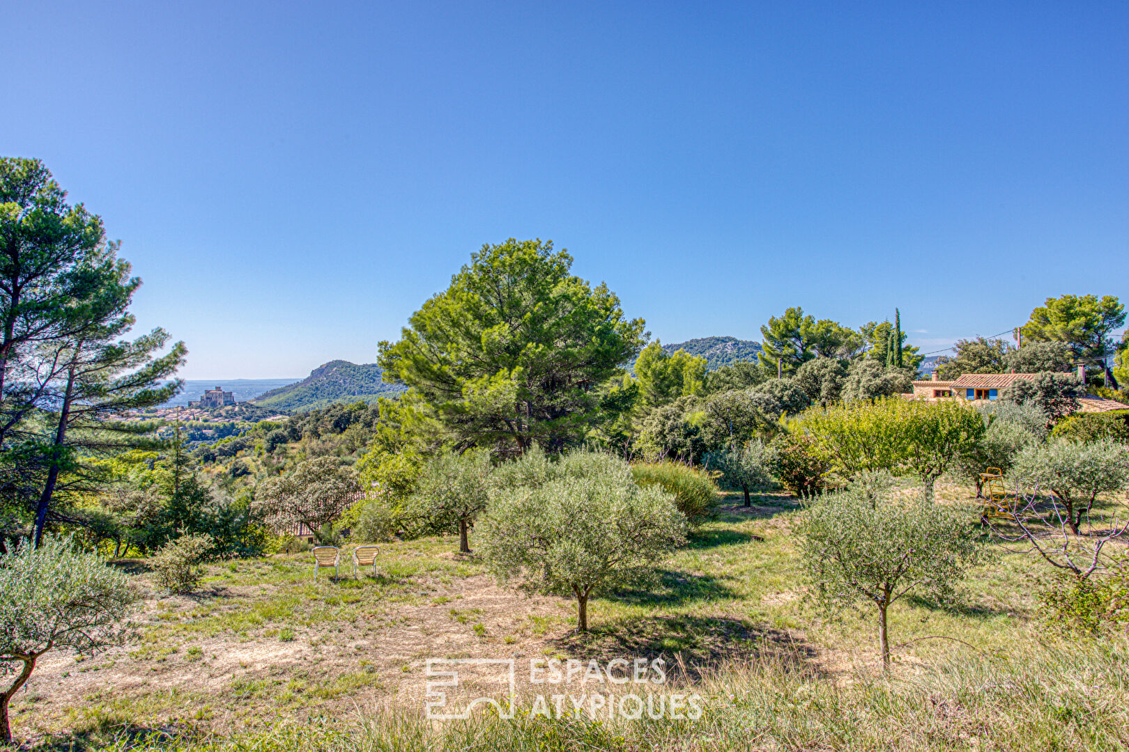 Two stone houses in an olive grove