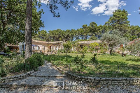 Renovated house with swimming pool and gites on the Pernoise hill