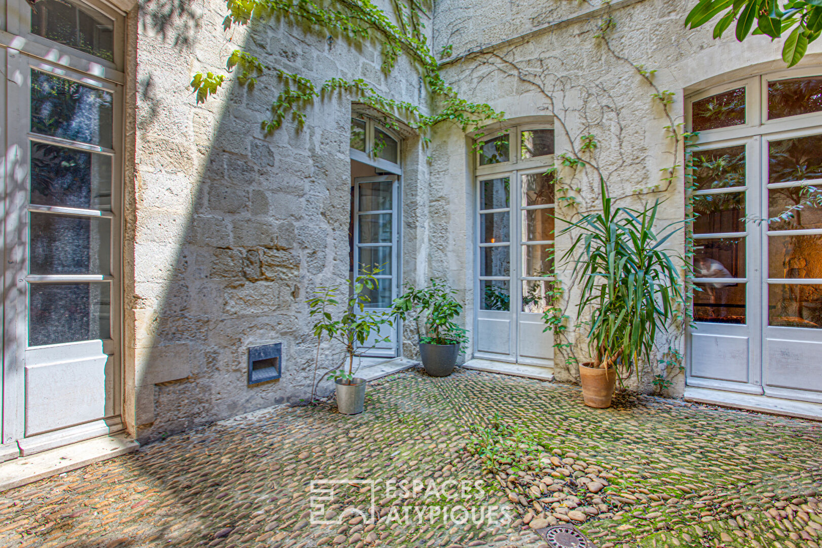 Maison de caractère, sublimée par un rosier Banks et une rénovation inspirée
