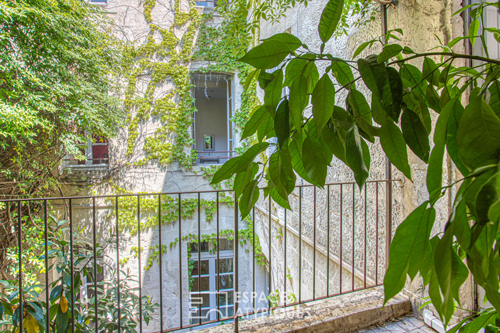 Maison de caractère, sublimée par un rosier Banks et une rénovation inspirée