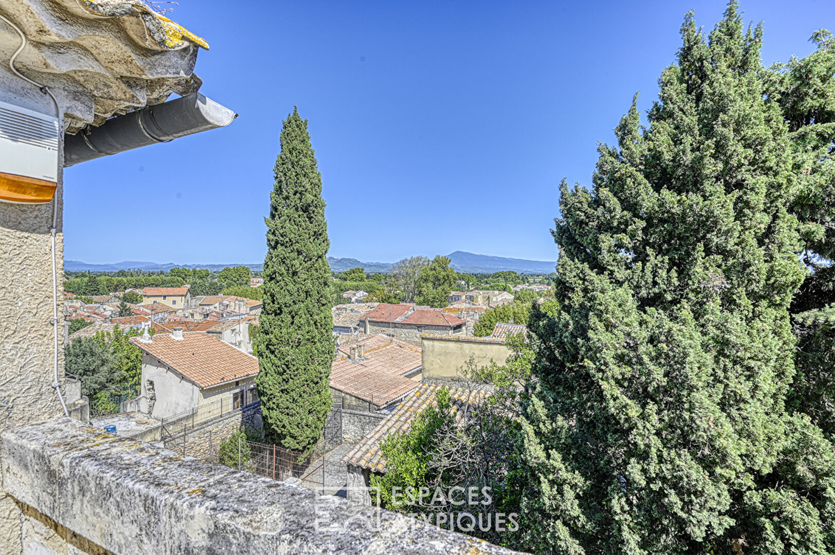 Heritage elegance and its hanging garden to reinvent