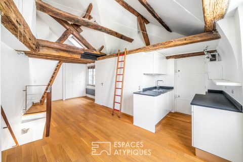 Quartier Latin, near Seine waterfront Top-floor duplex