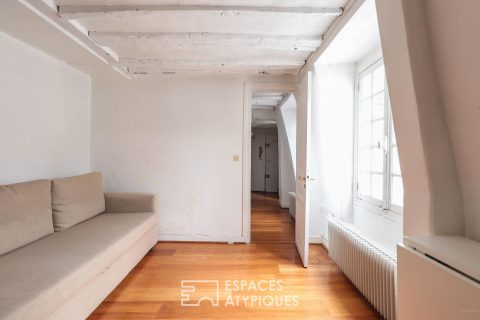 Appartement sous les toits