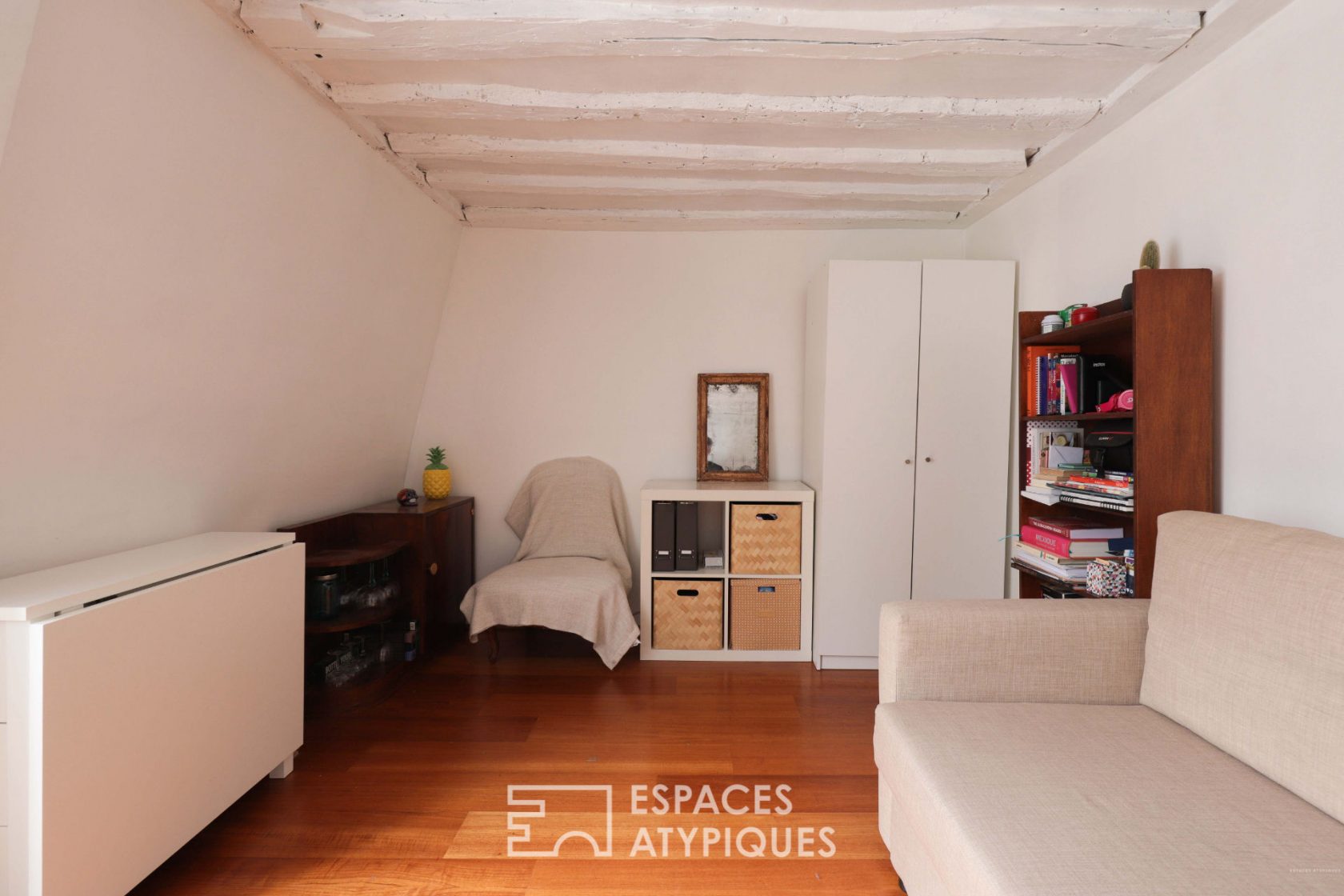 Apartment  under the roofs