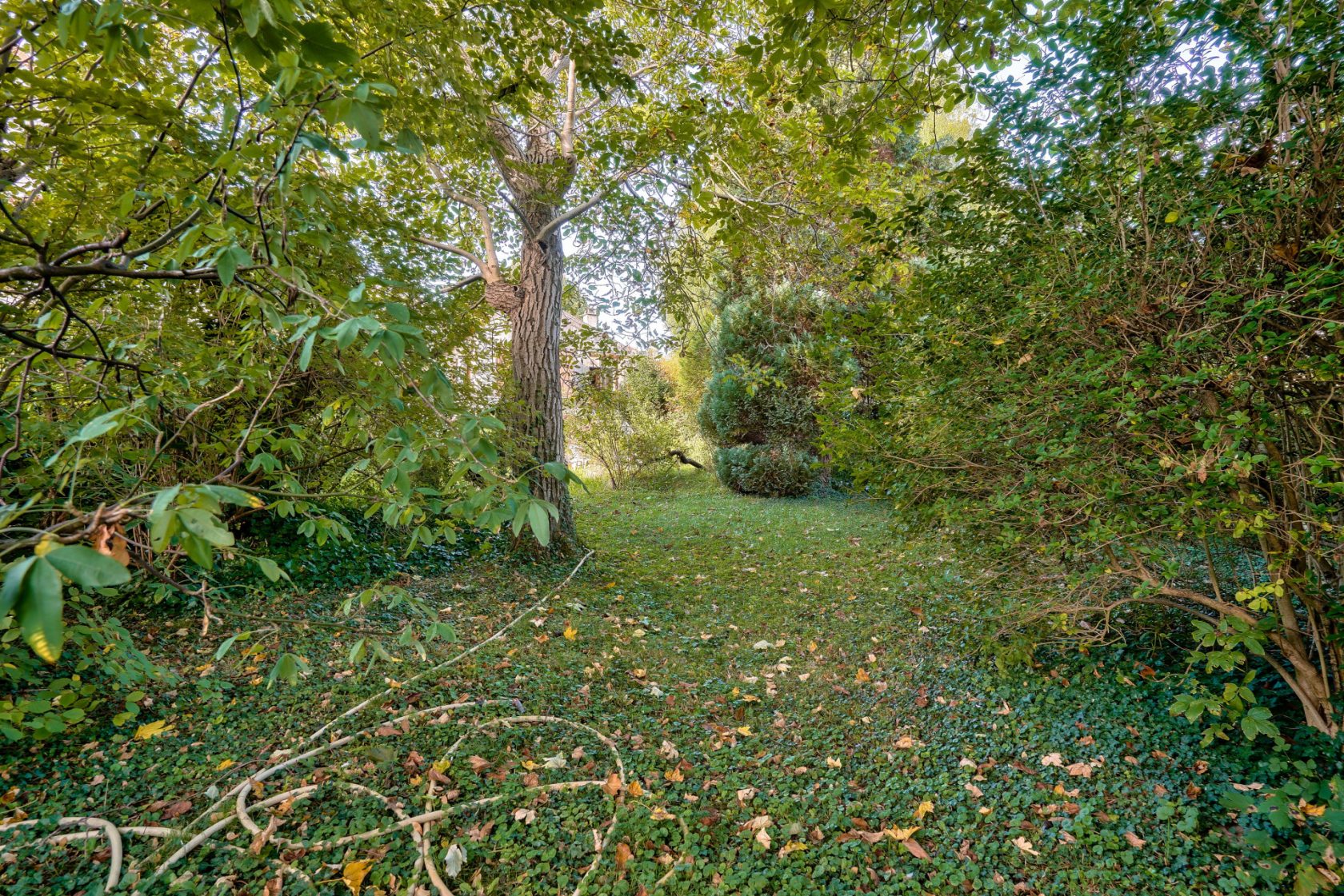 Divisible building land near the banks of the Marne