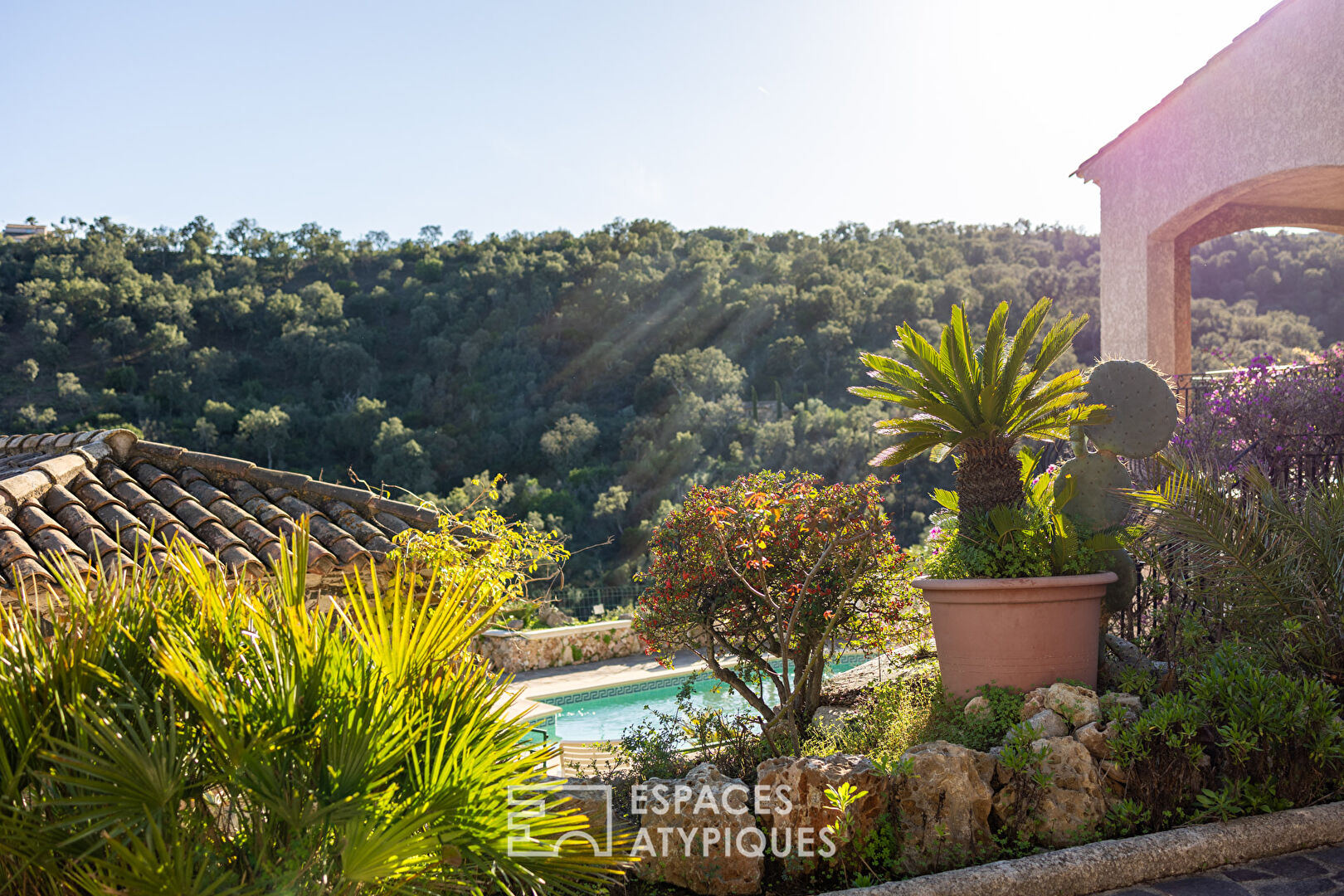 Maison provençale avec dépendances, piscine et pool house.