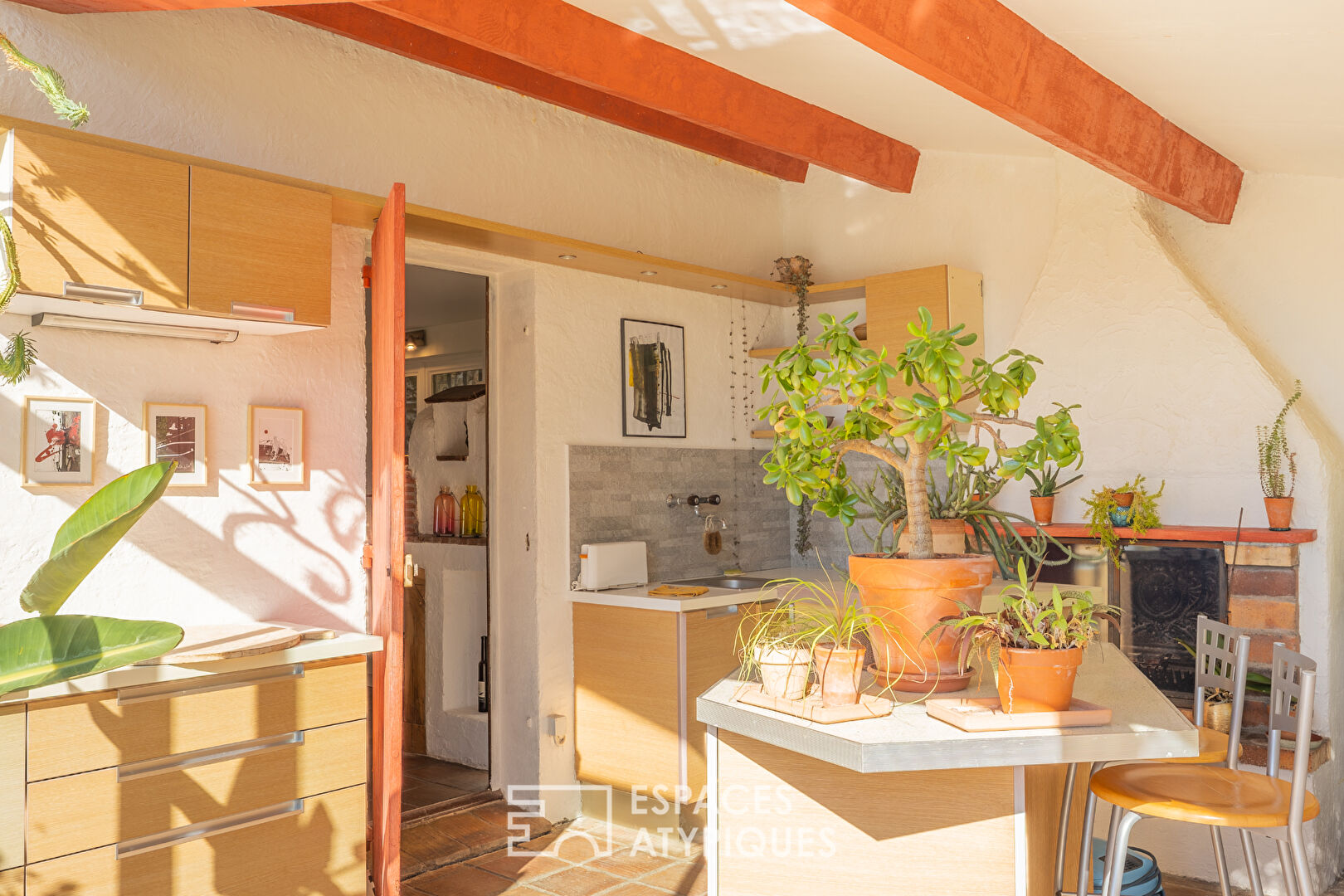 Maison provençale avec gîtes, piscine et oliveraie