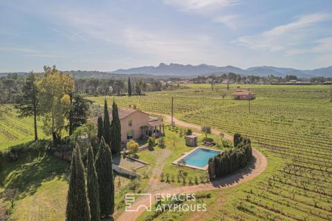 Héritage de pierre au coeur des vignes : un écrin pensé pour maison d&rsquo;hôtes