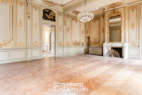 Exceptional 19th century apartment in Les Carmes