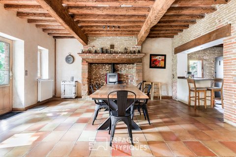 Renovated former farmhouse 25 minutes from Toulouse