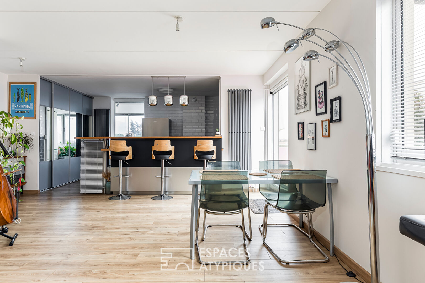 Appartement T4 et terrasse en rooftop à Toulouse