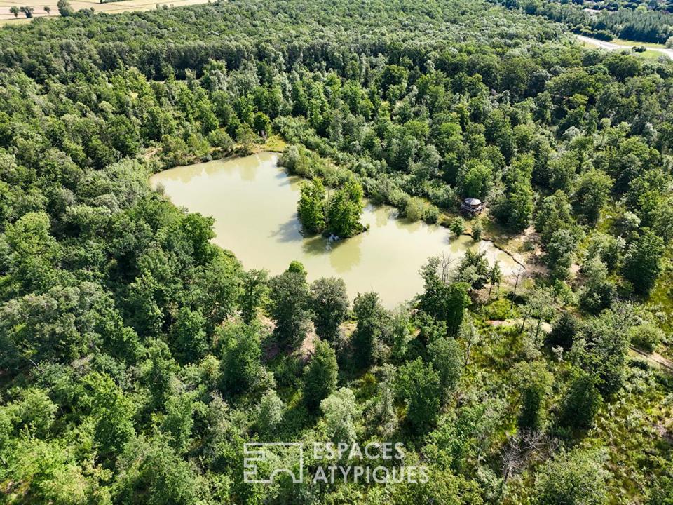 Domaine forestier de 20 hectares proche de Toulouse plein de potentiel