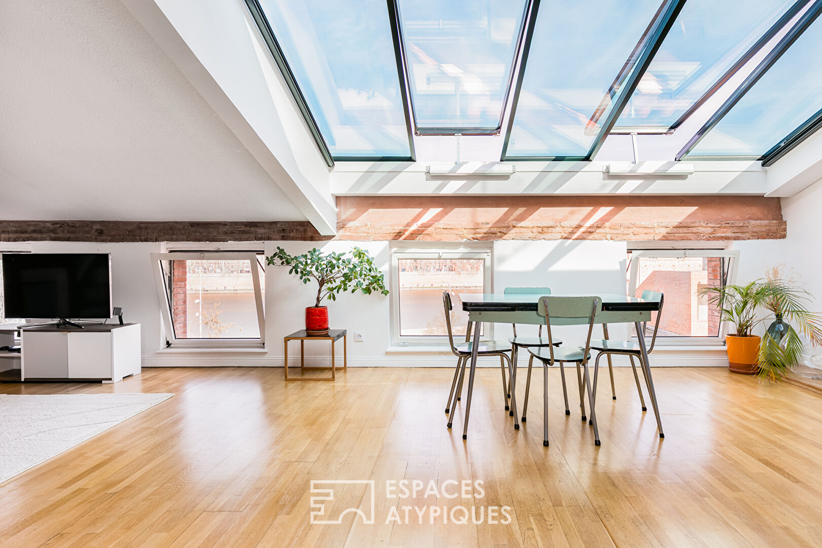 Apartment in Saint-Cyprien with Garonne view