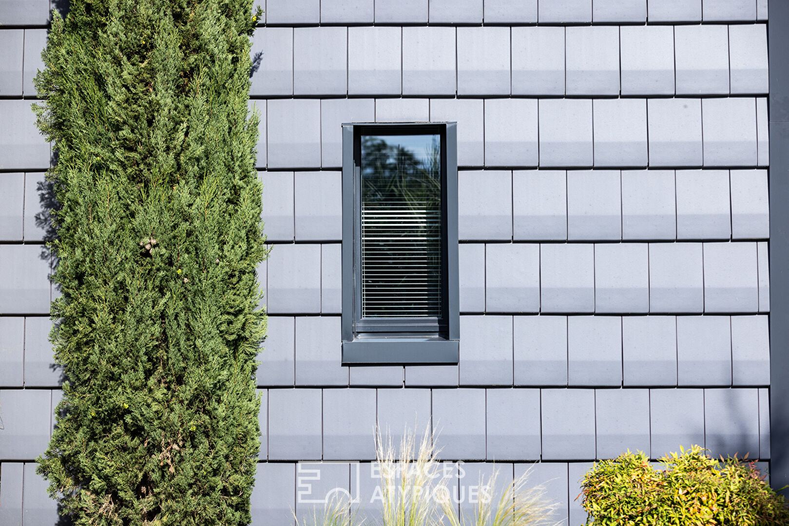 The ecological passive house in its green setting