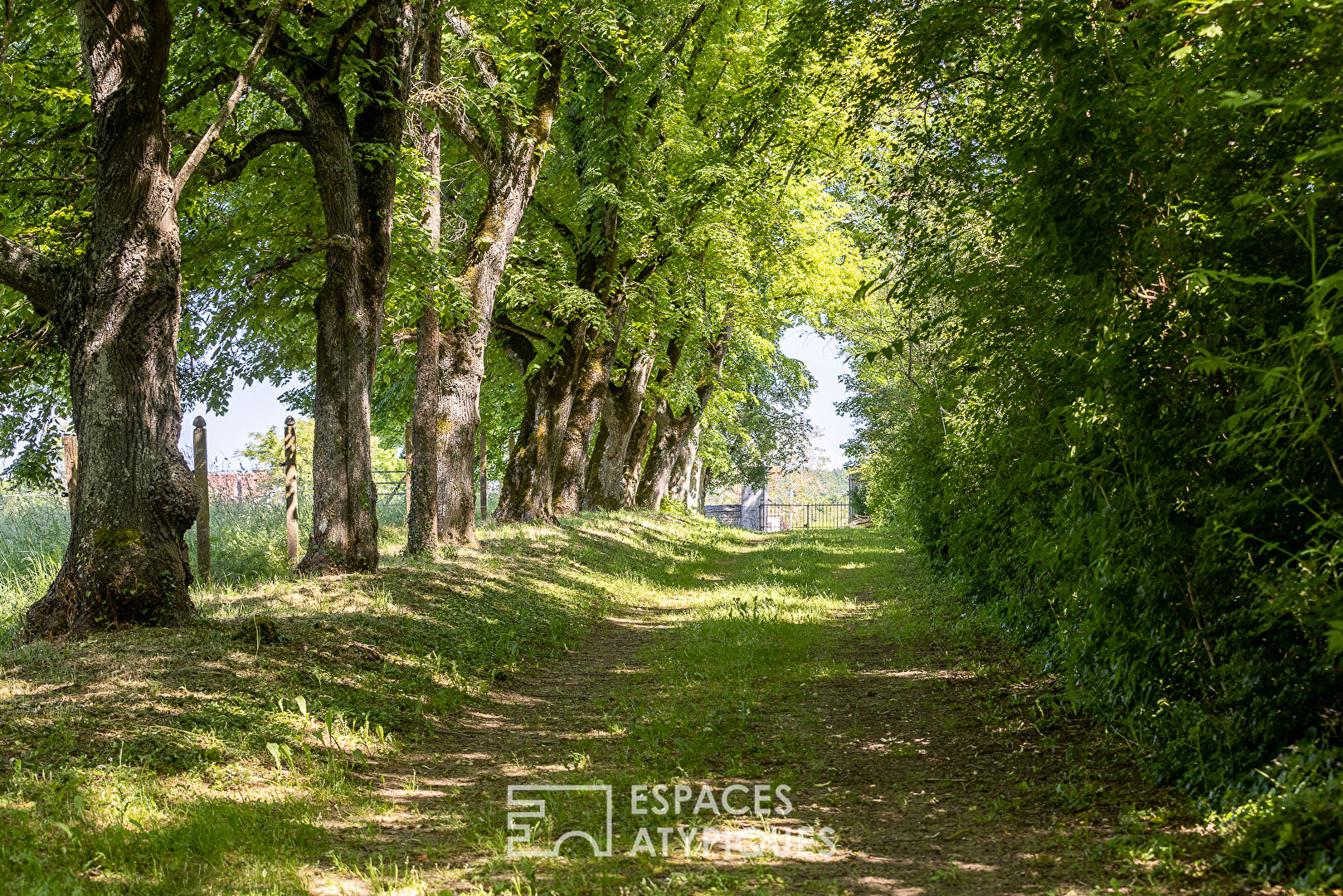 Castle near Chablis to renovate