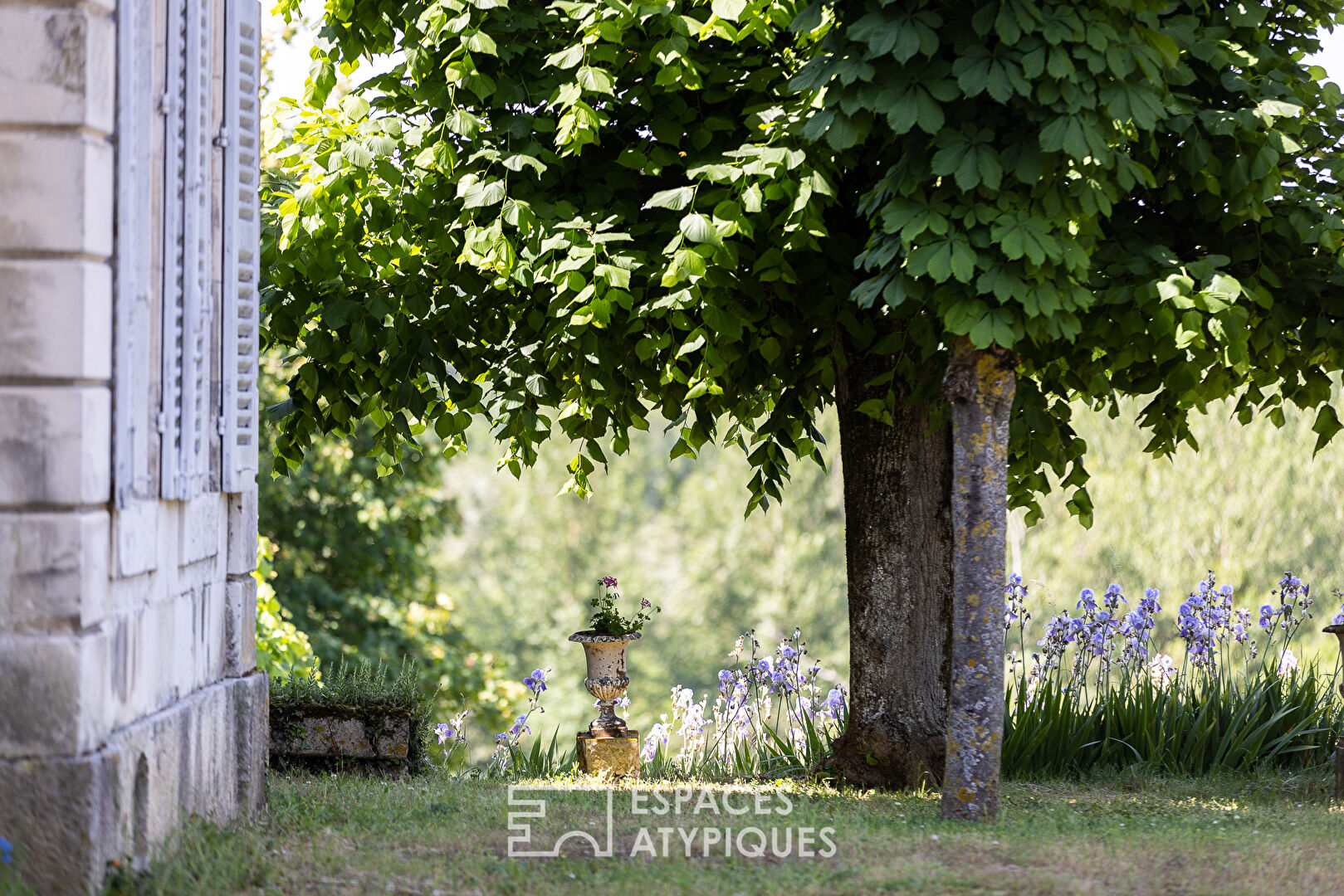 Château proche Chablis à rénover