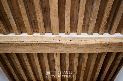 Appartement Dijon quartier des Antiquaires 106 m2