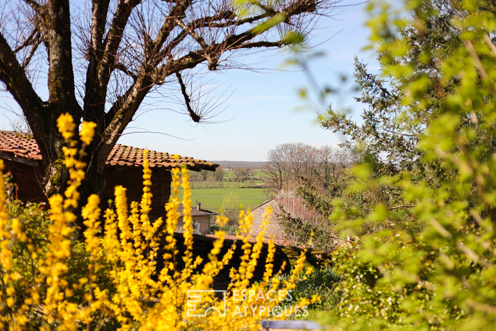 Charmante maison dans cadre bucolique du Revermont