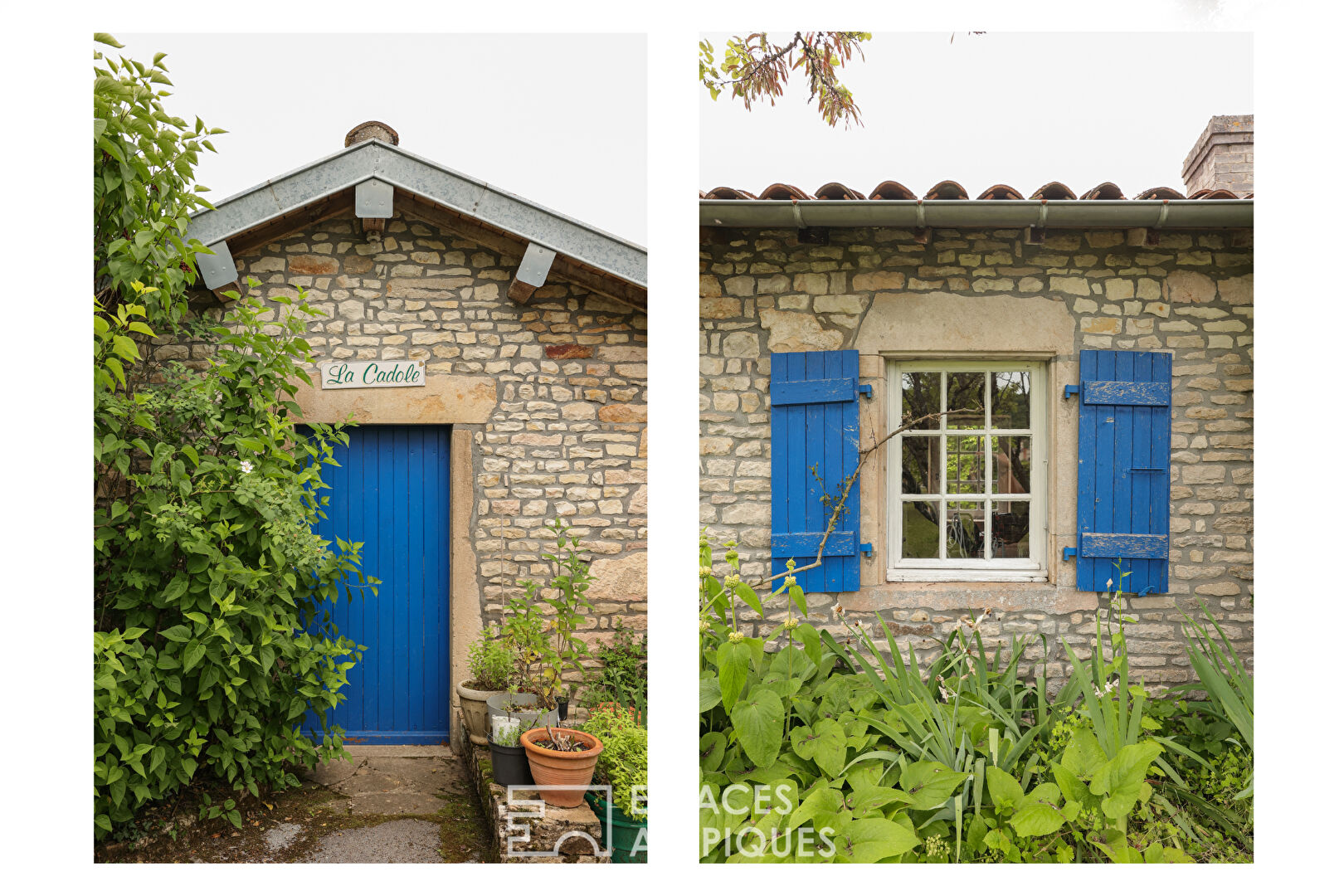 Maison familiale avec piscine et vue sur vignes