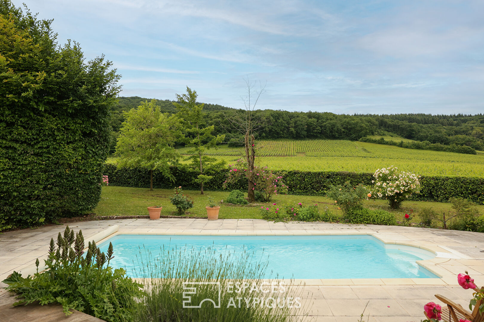 Maison familiale avec piscine et vue sur vignes