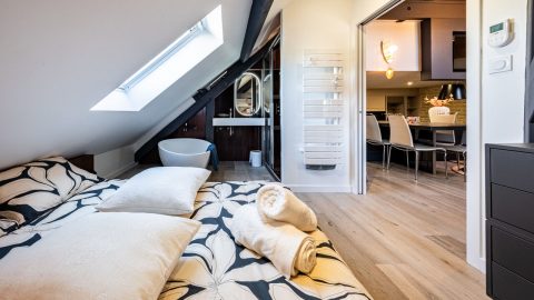 Idéal investisseur appartement meublé en activité Airbnb