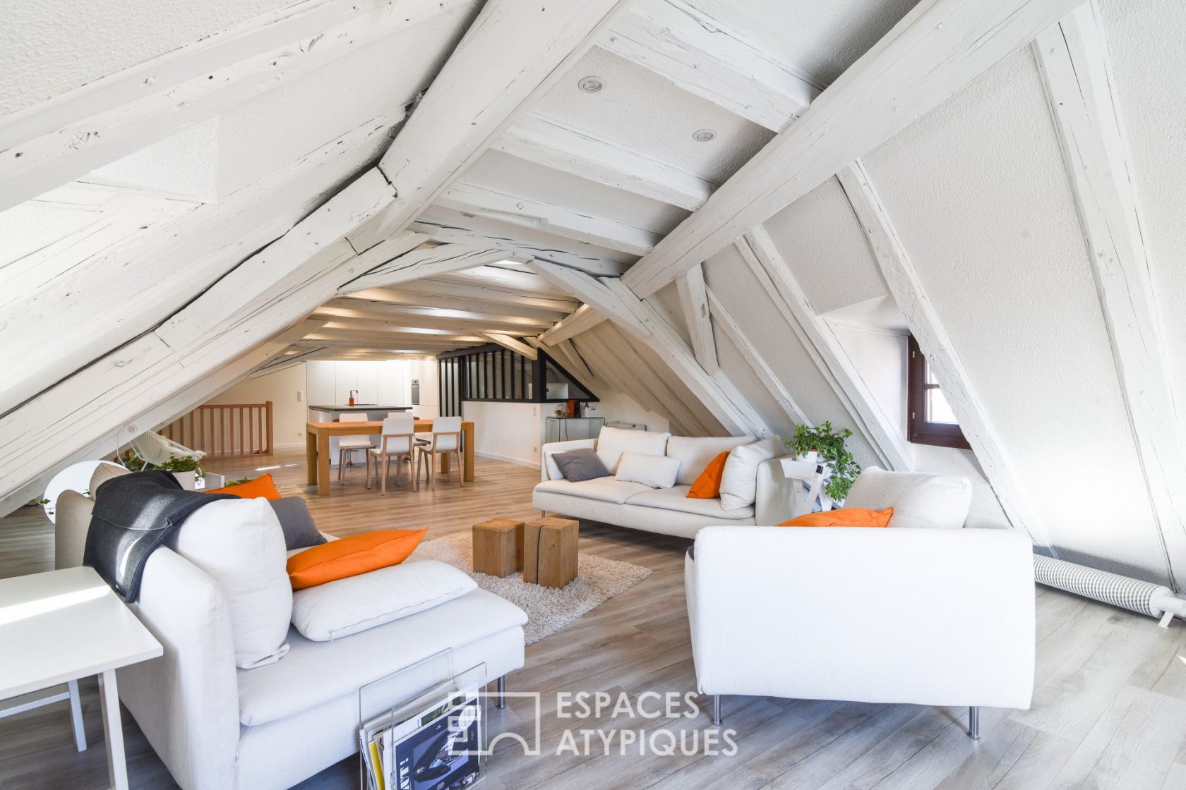 Duplex esprit loft au cœur de la Petite France