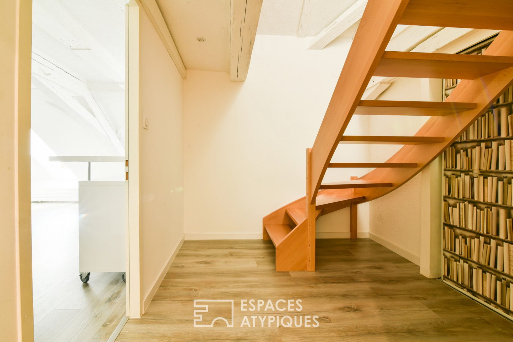 Duplex esprit loft au cœur de la Petite France