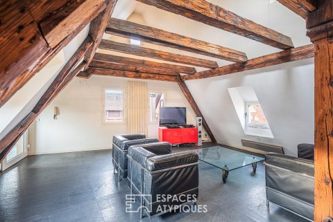 Appartement de caractère sous les toits de la Petite France