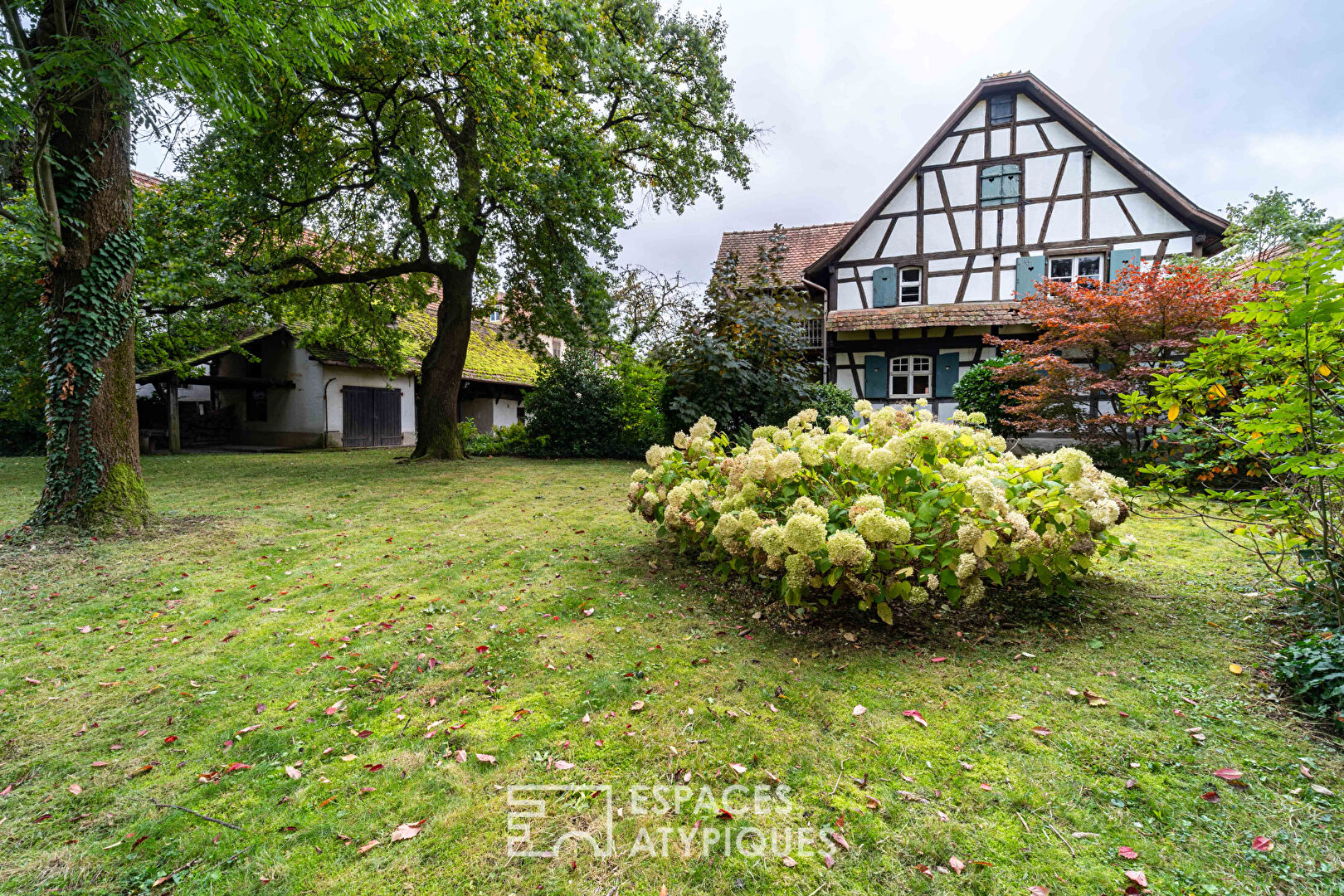 Alsatian house to be reinterpreted in a green setting