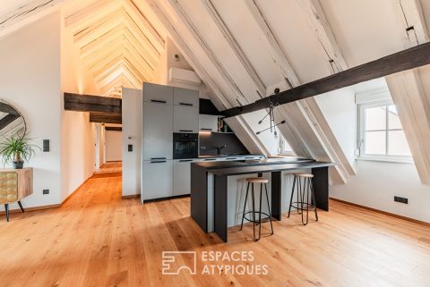Charming flat under the roof of the Krutenau