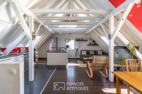 Duplex inversé sous les toits et sa terrasse