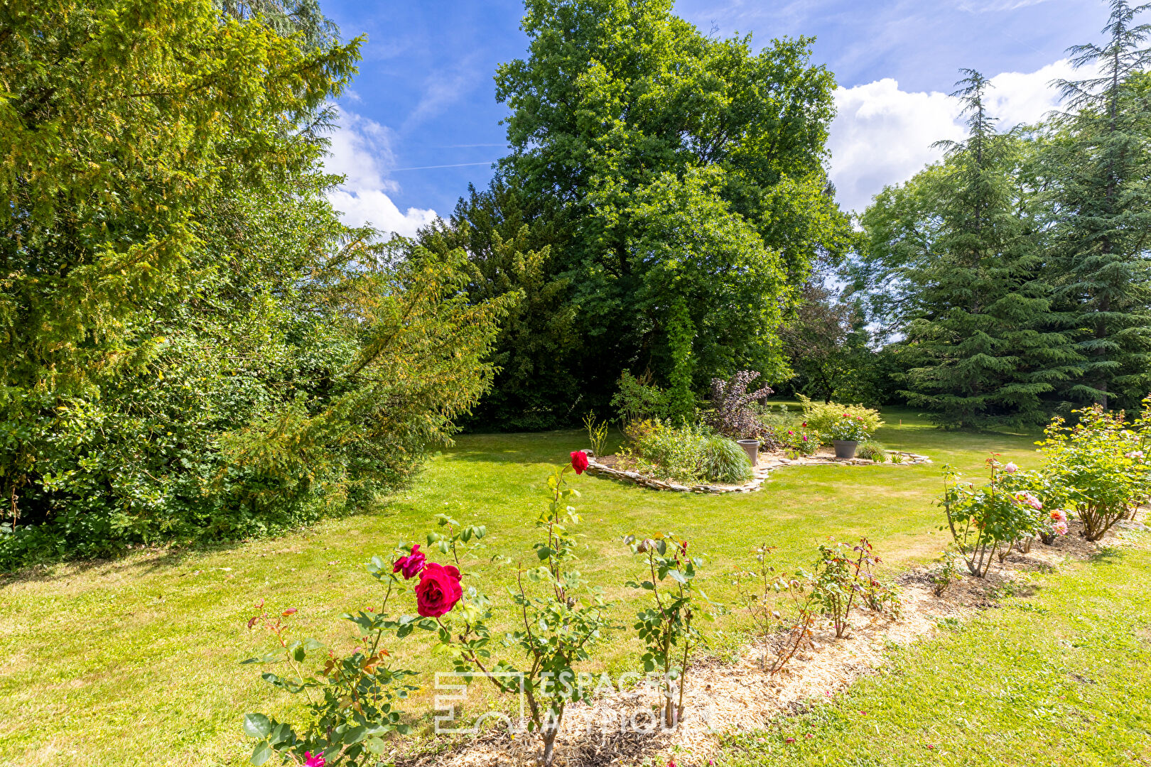 Maison de maître rénovée dans son magnifique parc arboré