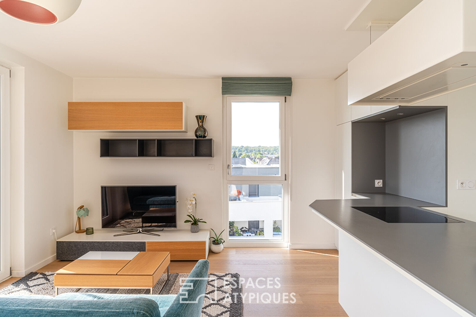 Attique contemporain avec terrasse aux portes de Strasbourg