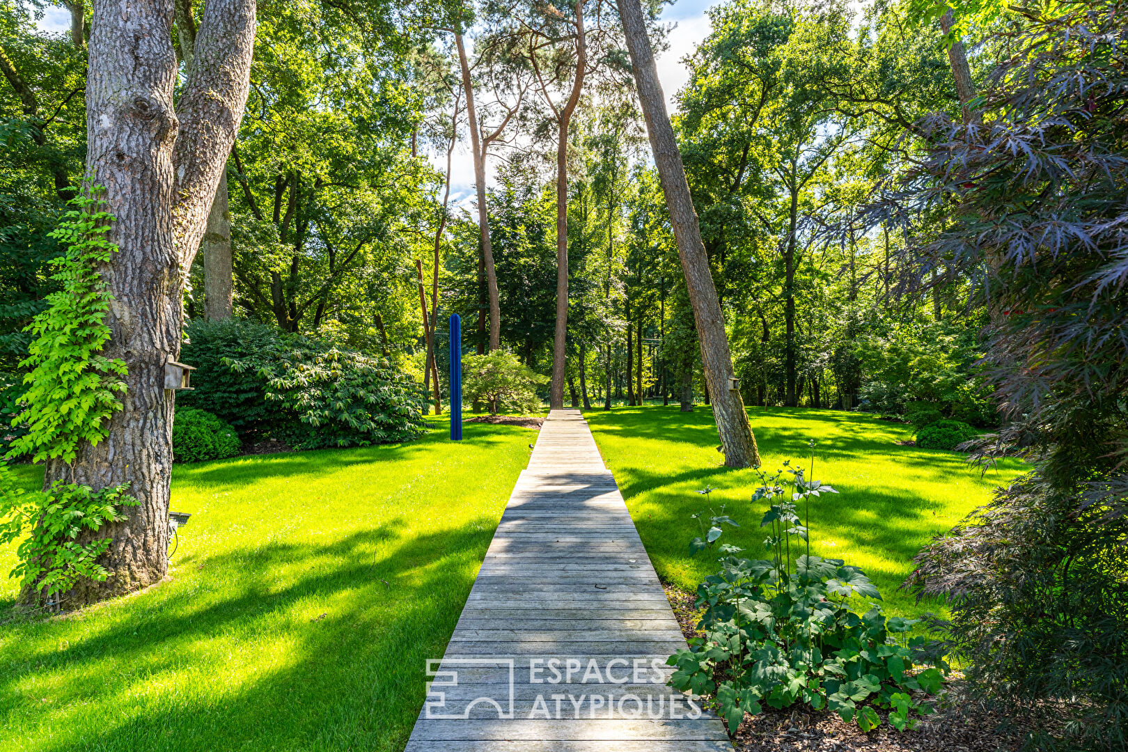 Architect-designed villa with private spa in the heart of a wooded park