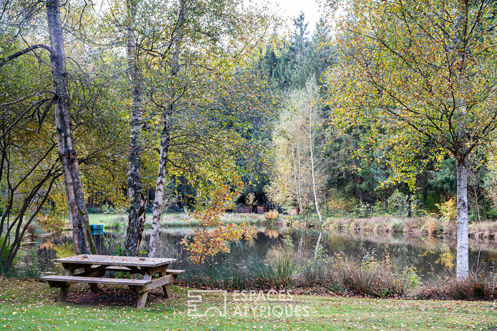 Chalet d’inspiration scandinave et son étang au coeur des Vosges du Nord
