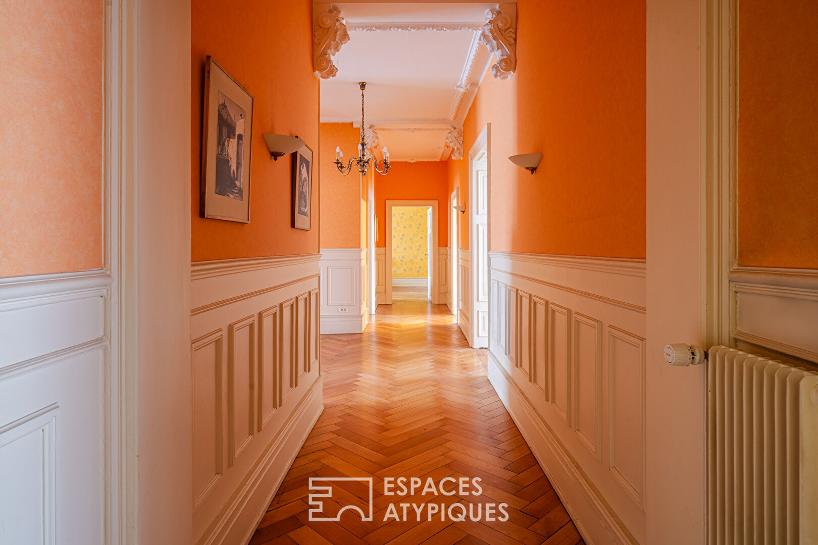 Appartement bourgeois et son jardin quartier Orangerie