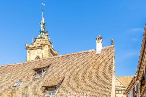 Dernier étage de caractère en coeur de ville