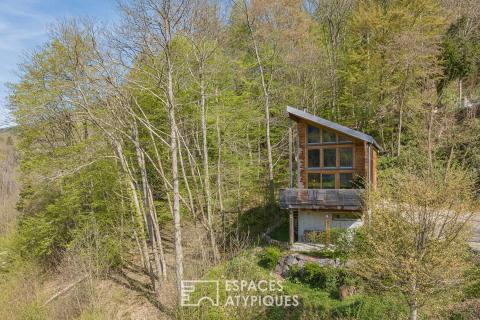 Contemporary Chalet with a Contemplative View