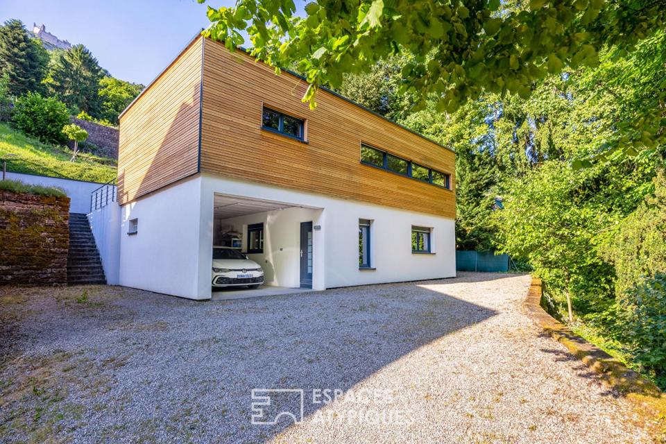 Maison contemporaine entre vignes et forêts