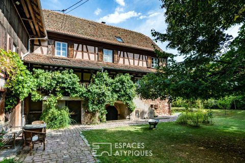 Maison alsacienne et son jardin en cœur de ville