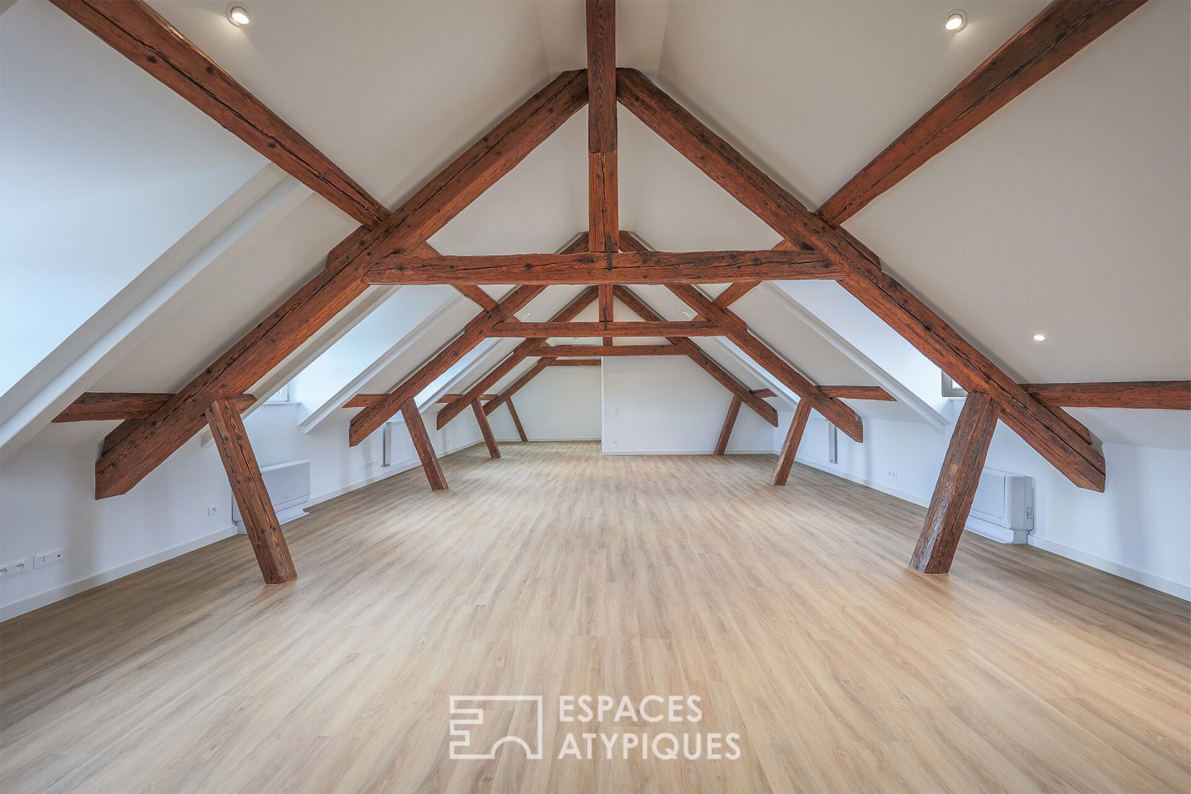 Attic with exposed roofing framework